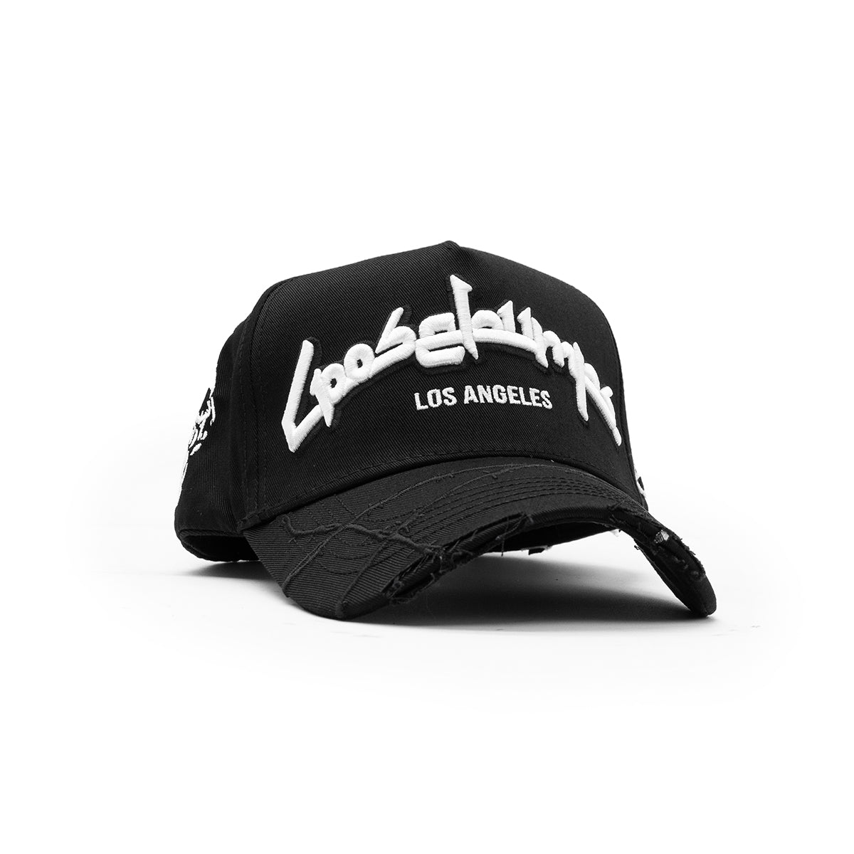 SKULLZ SNAPBACK